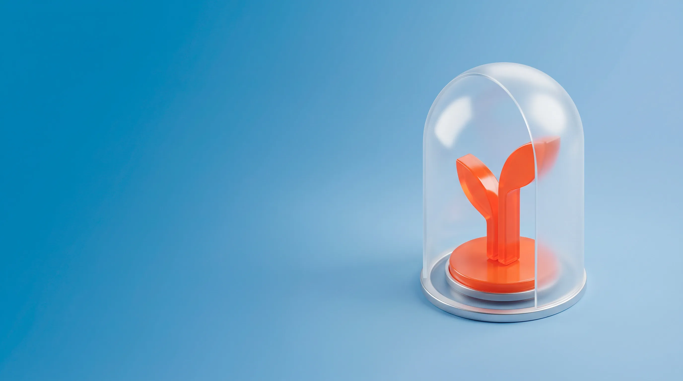 Задний фон